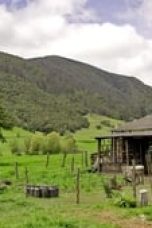 Nonton film Narcos Season 2 Episode 9 Subtitle Indonesia Streaming Movie Download Gratis Online